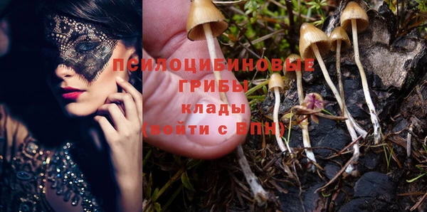 прущие крисы Богданович