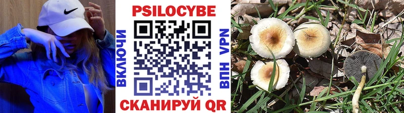 Галлюциногенные грибы Magic Shrooms Ковдор