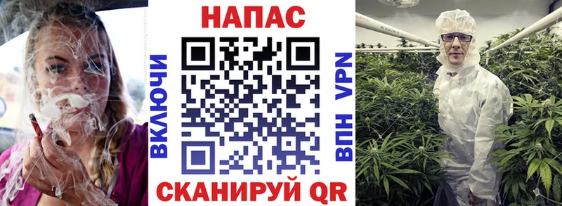 маркетплейс клад  Ковдор  Шишки марихуана THC 21% 